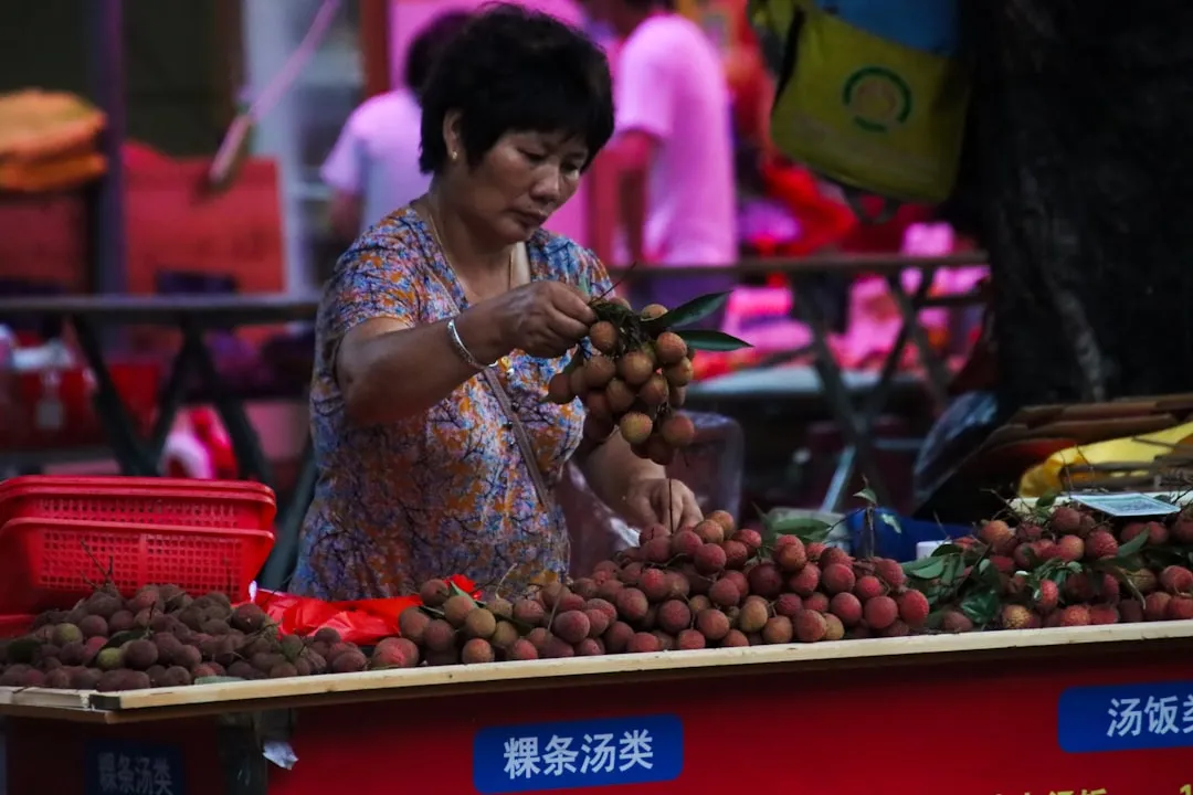 重庆PPR给水管与PE管在工程水暖中的选型要点分析