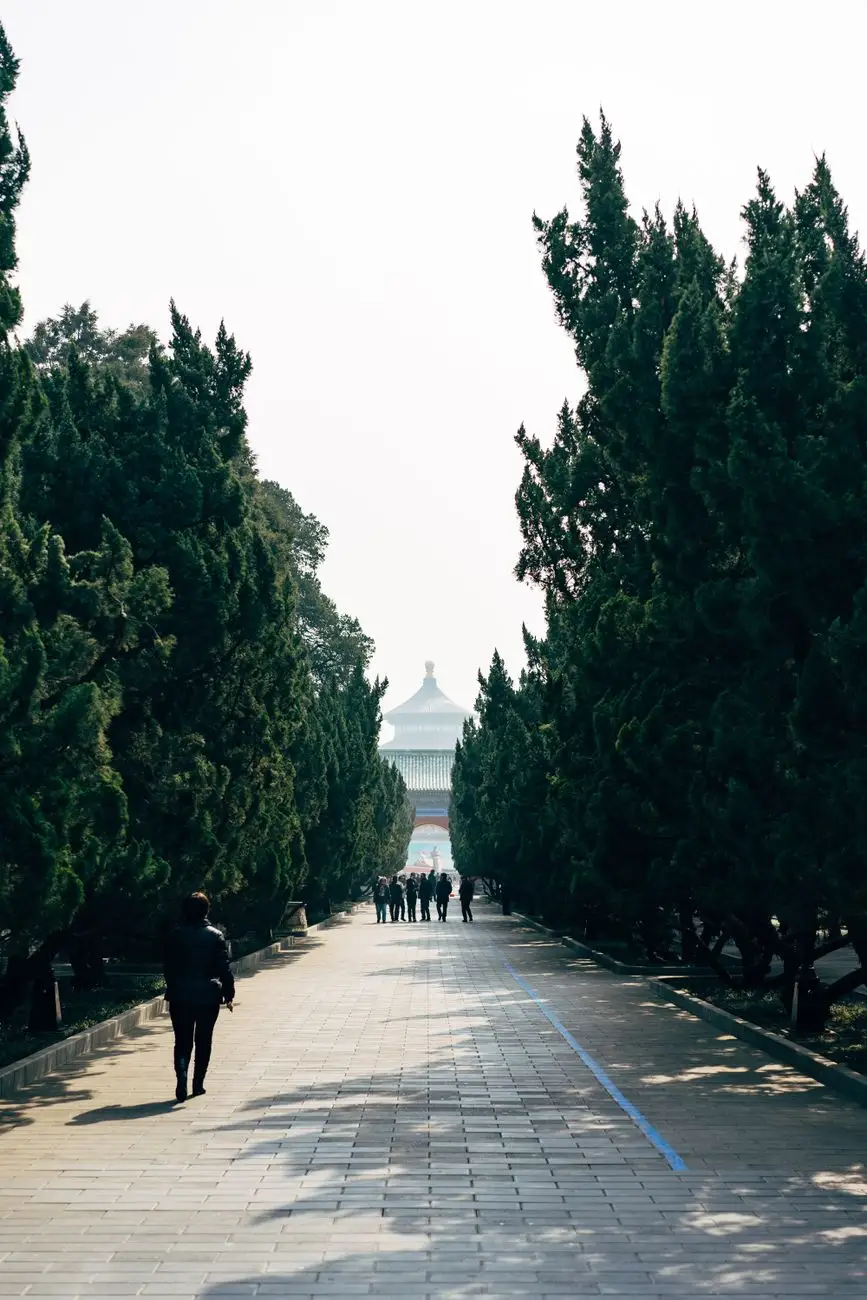 PE管与PPR给水管性能对比及工程应用场景分析